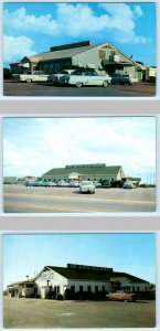 3 Postcards TIFTON, Georgia GA ~ Roadside ALPINE RESTAURANT 1950s Cars