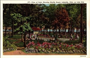 Shuffleboard in the Park, Lakeside OH Vintage Postcard L75