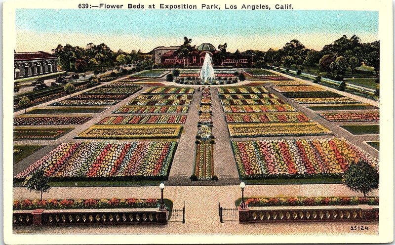 1920s LOS ANGELES CALIFORNIA FLOWER BEDS AT EXPOSITION PARK POSTCARD 42-144