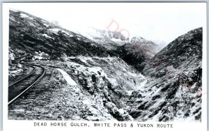 c1950s Alaska Railway RPPC Dead Horse Gulch White Pass Yukon Photo Postcard A98