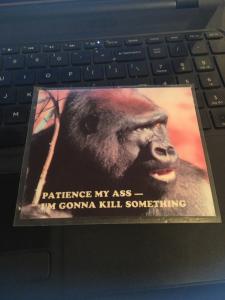 Vtg 80s RUSS Postcard: Gorilla- Patience My Ass, Im gonna kill Something