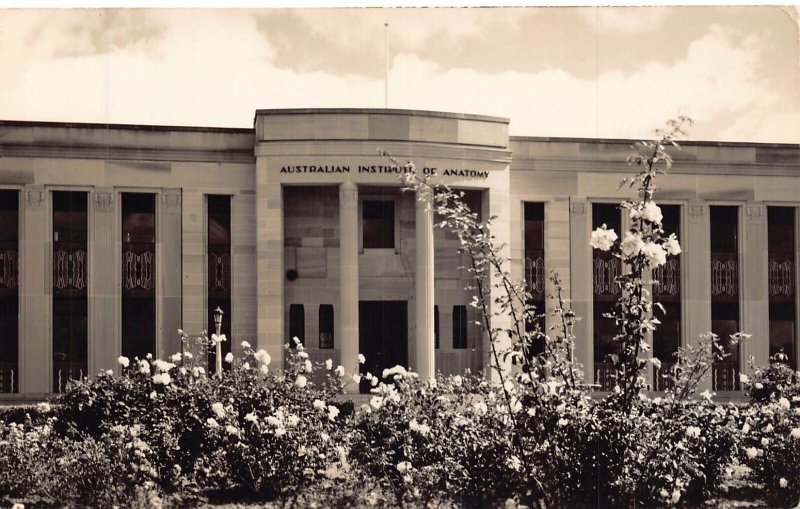 A858 Australia Canberra Australian Institute of Anatomy RPPC postcard