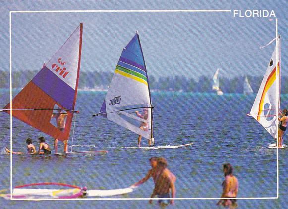 Wind Surfing In Florida