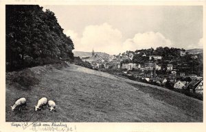 Lot362 siegen w blick vom hausling sheep germany