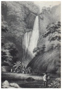 Waterfall Drawing Black & White Postcard Ancient Hawaii