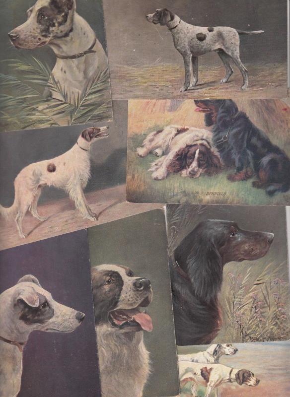 Vintage postcards lot artist signed AUGUST MULLER MUNCHEN dogs animals 