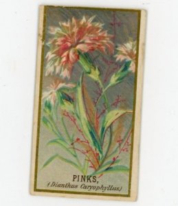 1890 N164 Goodwin & Co. Old Judge Tobacco Pinks Carnations F162