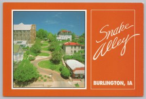 State View~Air View Snake Alley Burlington Iowa~Continental Postcard 