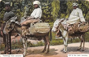 Off to Jaol Jail ? Women on Donkeys Jamaica Caribbean 1910c postcard