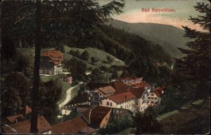 Bad Rippoldsau Germany Village Bird's Eye View c1910 Vintage Postcard