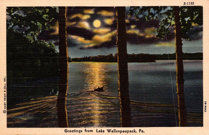 Pennsylvania Greetings From Lake Wallenpaupack Curteich