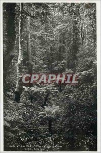 Postcard Old Villa Carlotta