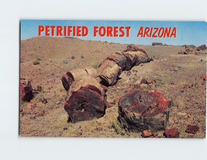 Postcard Petrified Forest, Arizona