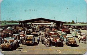 Postcard Benton Harbor Fruit Market in Benton Harbor, Michigan