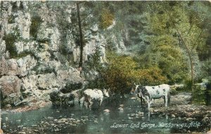 Postcard Arkansas Hot Springs Lower End Gorge International 23-4943