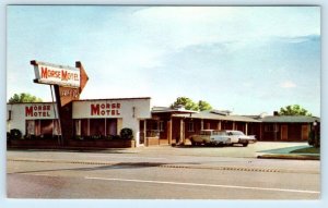 CAIRO, IL Illinois ~ Roadside MORSE MOTEL c1950s Cars Alexander County Postcard