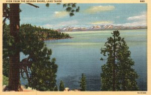 Vintage Postcard 1920's View From Nevada Shore Lake Tahoe & Mountains Peak NV