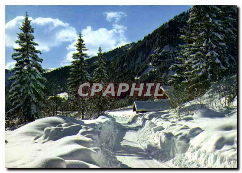 Postcard Modern picture of our mountains in winter snow path through the pines