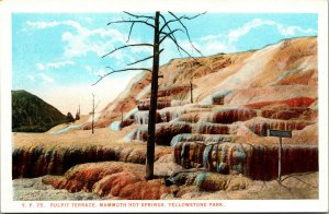 Vtg 1920 Pulpit Terrace Mammoth Hot Springs Yellowstone Park Wyoming WY Postcard