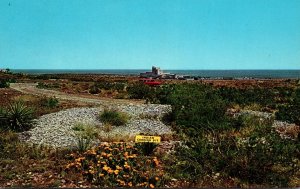 New Mexico Carlsbad Caverns Indian Cooking Pit