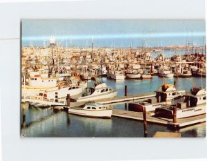 Postcard Sportfishing Boats Municipal Yacht Basin San Diego Bay California USA