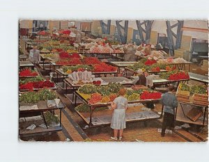 Postcard Interior flower Auction, Aalsmeer, Netherlands