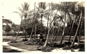 RPPC Postcard Hawaii Royal Hawaiian Hotel Grounds Palm Trees Vintage Honolulu