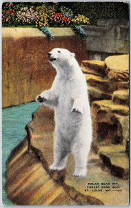 Polar Bear Pit Forest Park Zoo St. Louis Missouri MO Cageless Animal Postcard