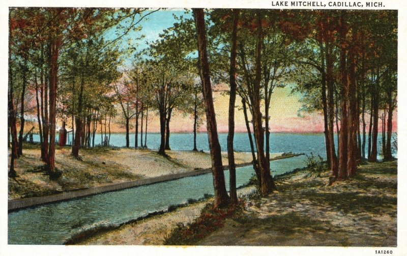 Vintage Postcard 1920's View of Lake Mitchell Cadillac Michigan MI