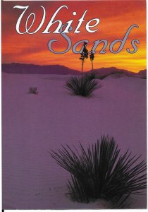 US New Mexico. Mint. White Sands National Monument.  Nice Card.