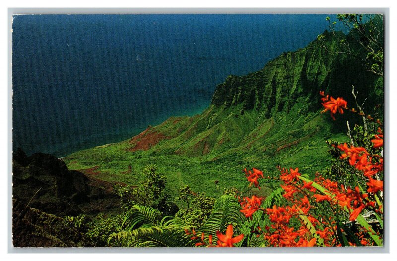 1987 Postcard HI Kalalau Valley Hawaii Vintage Standard View Card 