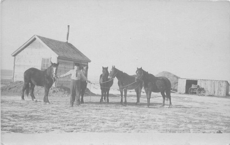 C-1910 Rural Pioneer Life Farmer Horses RPPC Photo Postcard 6018