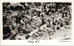 Hedley British Columbia Aerial View Unused Inge Sanborn RPPC Postcard G4