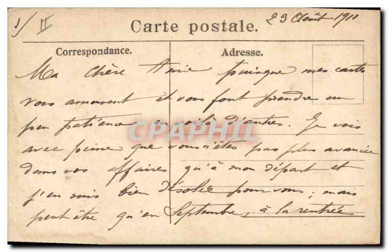 Postcard Old Cow Cows