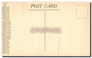 Old Postcard Dog Dogs