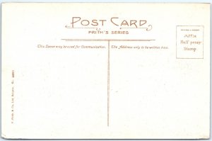 c1910s Midhurst Forest Woods Tall Pine Trees Clearing Path Sussex UK A371