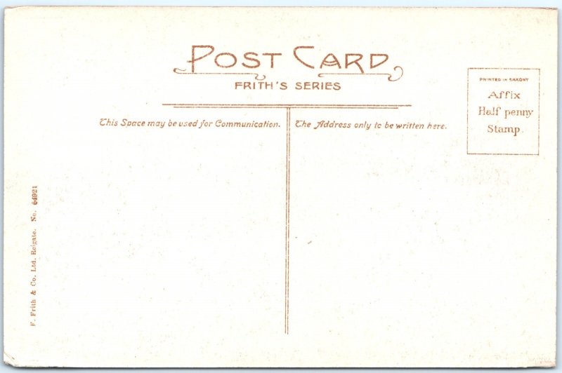 c1910s Midhurst Forest Woods Tall Pine Trees Clearing Path Sussex UK A371