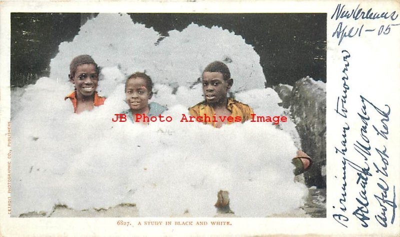 313659-Black Americana, Detroit Photographic No 6827, Study in Black & White