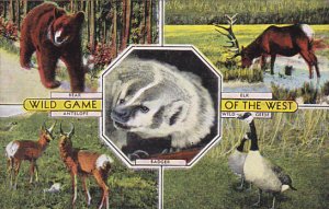 Multi View Wild Game Of The West Bear Elk Antelope and Wild Geese