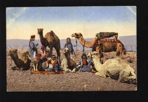 073790 Camel Drivers Parking Vintage colorful PC