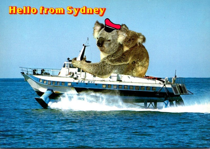 Australia Sydney Hello Hydrofoil Passenger Service With Giant Koala