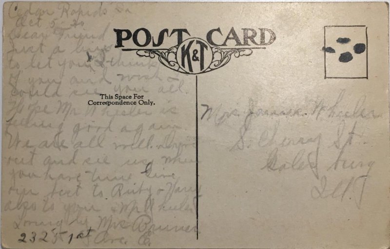 Iowa Greetings CEDAR RAPIDS Felt Pennant Comic Pim Art c1910s Vintage Postcard