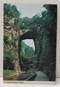 Natural Bridge of Virginia Photo by Mike Roberts Berkeley Virginia Postcard B10