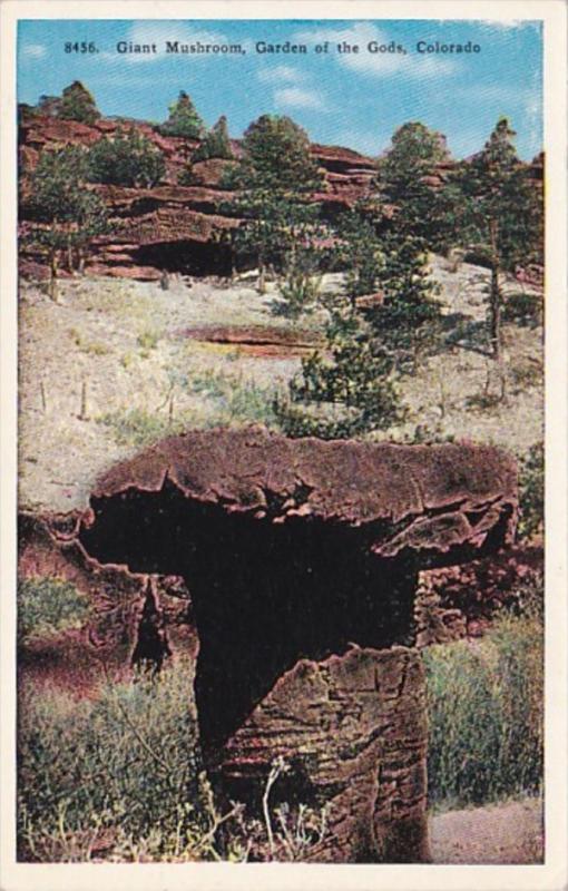 Colorado Giant Mushroom Garden Of The Gods