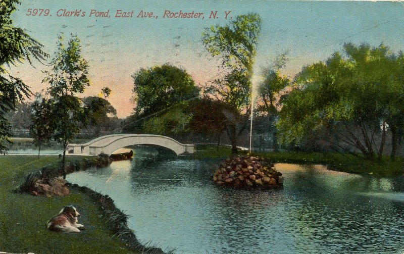 NY - Rochester. Clark's Pond, East Avenue