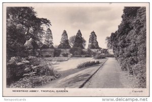 RP; Newstead Abbey, Tropical Garden, Nottinghamshire, England, United Kingdom...