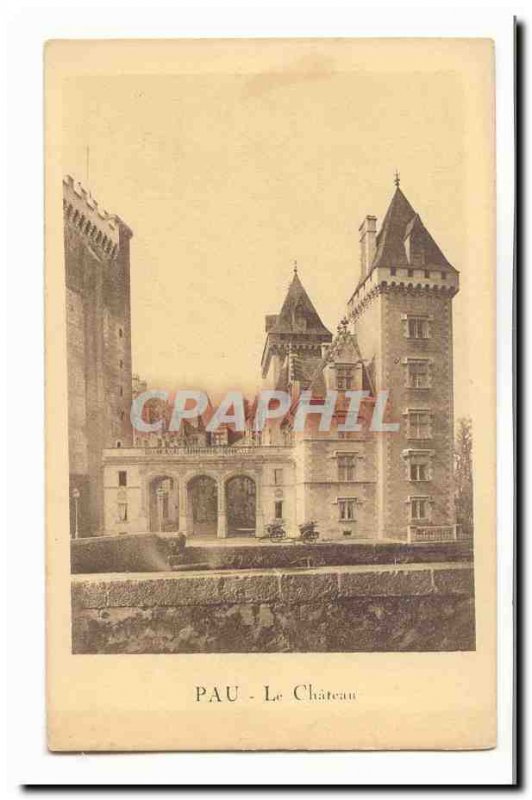 Pau Old Postcard The castle