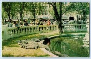 1960 El Paso Texas Postcard San Jacinto Plaza Downtown Alligator Park Attraction