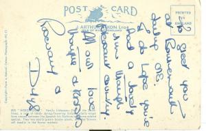 Iris Wedgwood flowers, early 1900s used Postcard