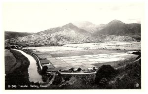 RPPC Postcard Hanalei Valley Vista of Taro Fields Kauai Hawaii c1950